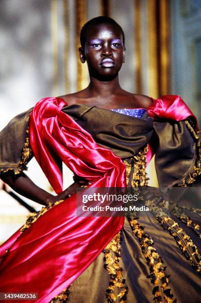 Ownalek 6,775 Alek Wek Photos Stock Photos, High-Res Pictures, and Images ...