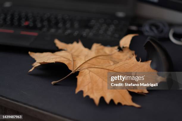 leaf on the black table with mouse and computer - acer laptop stock-fotos und bilder