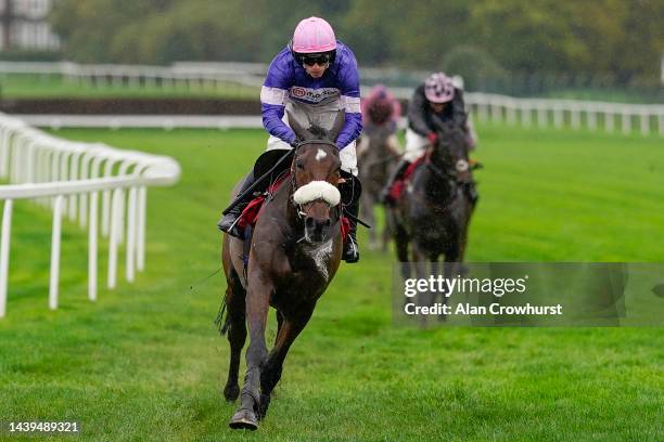 Harry Cobden riding Solo clear the last to comfortably win The Celebration Of Autumn Novices' Limited Handicap Chase at Sandown Park on November 06,...