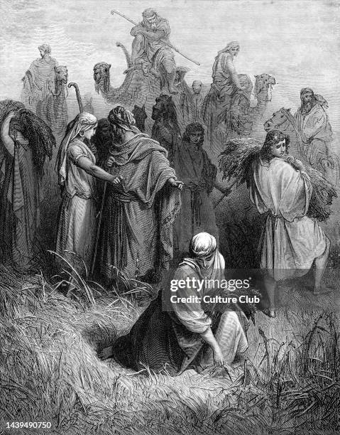 Boaz Ruthless 125 Ruth And Boaz Stock Photos, High-Res Pictures, and Images - Getty ...