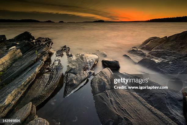 evening in killbear provincial park - killbear provincial park stockfoto's en -beelden