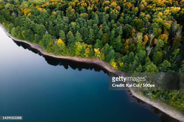 high angle view of lake amidst trees in forest,connecticut,united states,usa - connecticut landscape stock pictures, royalty-free photos & images