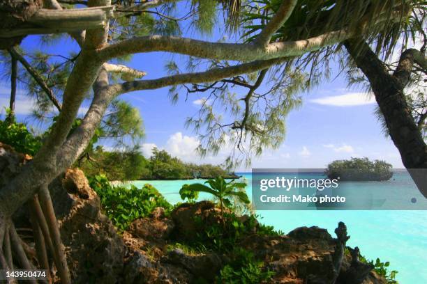 luengoni beach - new caledonia stock pictures, royalty-free photos & images