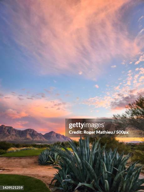 Oro Valley Az Map