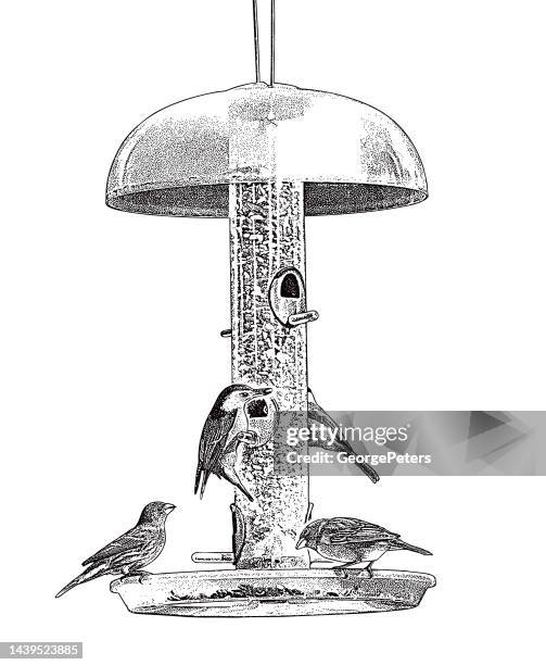 bird feeder, nuthatch, purple finch and chickadee - chickadee stock illustrations