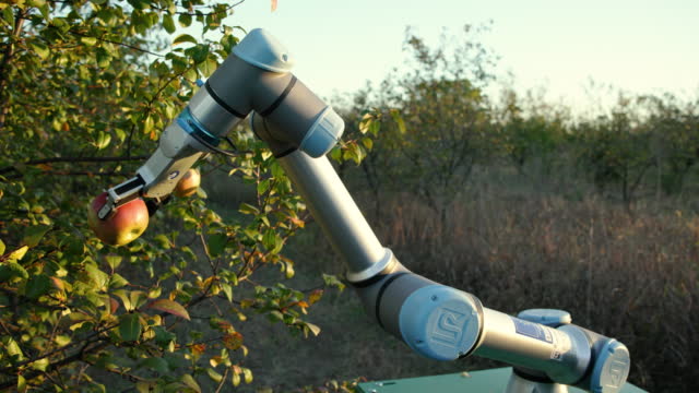 과수원에서 사과를 수확하는 로봇 팔을 가진 농업 로봇
