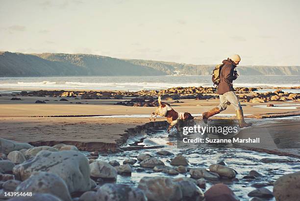man and dog jumping over stream - bideford bildbanksfoton och bilder