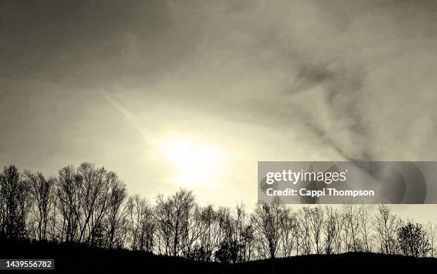 barren leaf tree line and sky during autumn in new hampshire, usa - appalachia stock pictures, royalty-free photos & images