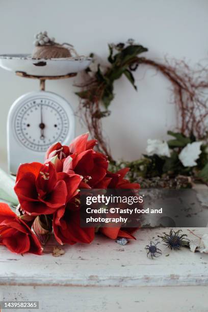 elegant christmas wreath for house decoration and amaryllis - amaryllis stock pictures, royalty-free photos & images