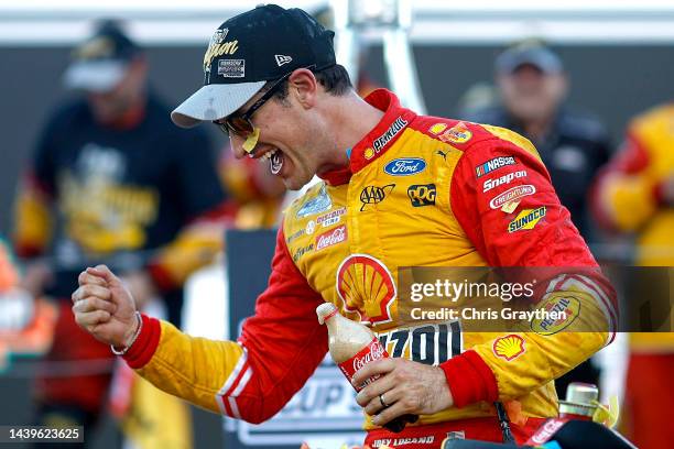 Joey Logano, driver of the Shell Pennzoil Ford, celebrates in victory lane after winning the 2022 NASCAR Cup Series Championship at Phoenix Raceway...