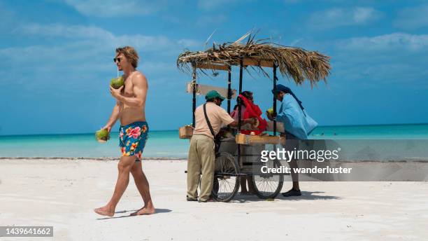 coconuts at the beach - holbox island stockfoto's en -beelden