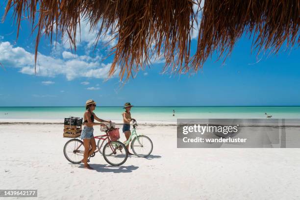 radfahren am strand, isla holbox - isla holbox stock-fotos und bilder