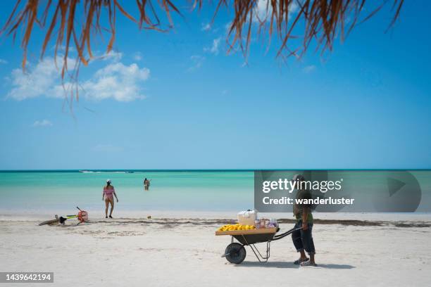 selling mangoes on the beach, isla holbox - holbox island stockfoto's en -beelden