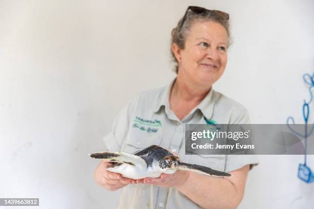 Veterinary nurse Sarah Male holds a young injured green sea turtle with a missing flipper at Taronga Zoo's Wildlife Hospital on November 07, 2022 in...