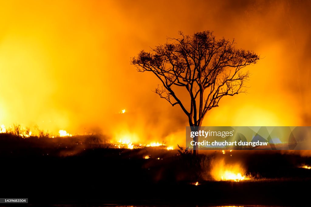 Climate change, Heatwave hot sun, Global warming from the sun, and burning