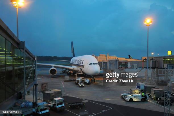 the scenery of singapore and changi airport - sentosa island singapore stock pictures, royalty-free photos & images