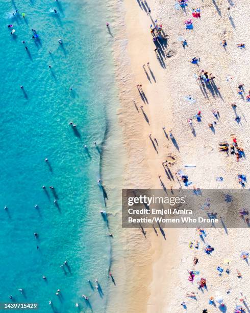 beach day - bondi stock pictures, royalty-free photos & images