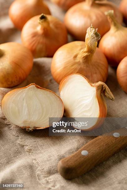 raw onion on textured linen sackcloth - oignon photos et images de collection