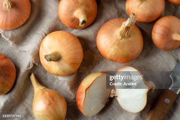 raw organic onions on linen sackcloth - zwiebel stock-fotos und bilder