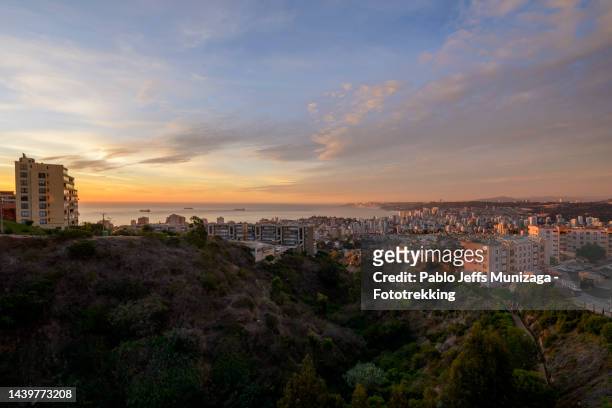 panoramic view from viña del mar in chile - valparaíso città del cile foto e immagini stock