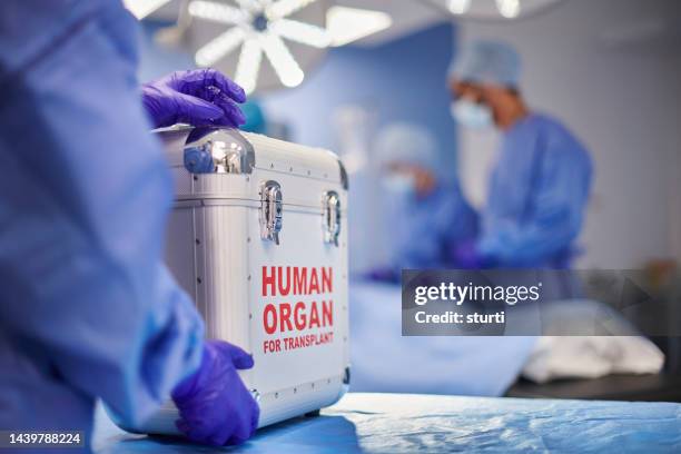 organ transplant surgery - nier inwendig orgaan stockfoto's en -beelden