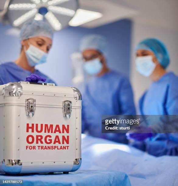 organ transplant surgery - kidney donation stock pictures, royalty-free photos & images