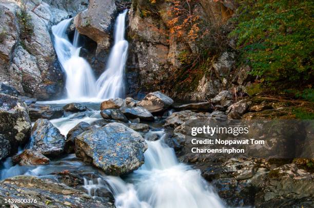 scenic view of bash bish falls, massachusetts, new england, usa in autumn - bash bish falls state park stock pictures, royalty-free photos & images