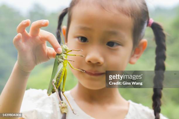 a girl is catching a grasshopper. - catching butterflies stock pictures, royalty-free photos & images