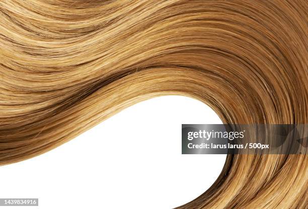 close-up of abstract pattern against white background - hair editorial stock pictures, royalty-free photos & images