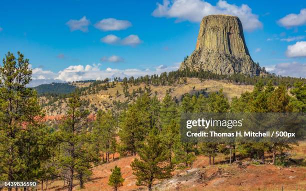 scenic view of landscape against sky,crook county,wyoming,united states,usa - devils tower stock pictures, royalty-free photos & images