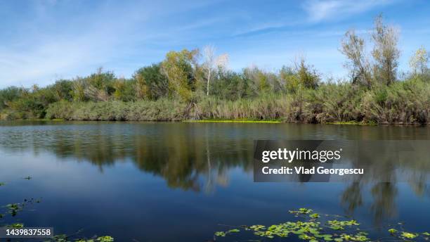 down by the river - goodyear arizona - fotografias e filmes do acervo