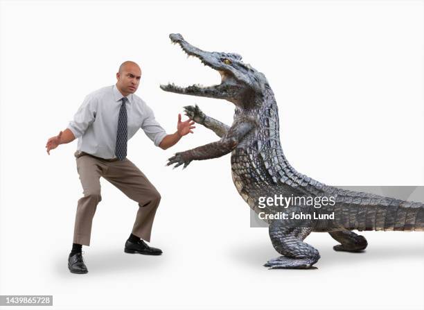 wrestling crocodiles - men wrestling stock pictures, royalty-free photos & images