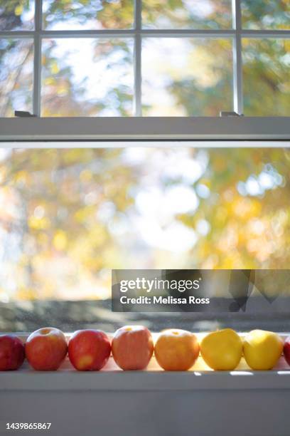 apples on a kitchen windowsill. - window sill 個照片及圖片檔