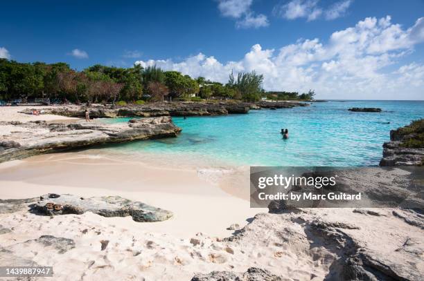 smith's cove, grand cayman, cayman islands - cayman islands stock pictures, royalty-free photos & images