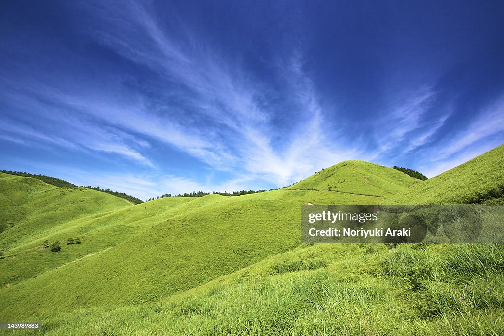 Blue sky with grassland