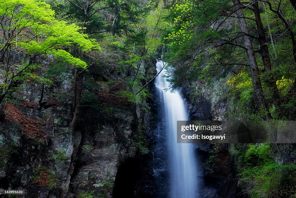 Ohtaki Falls