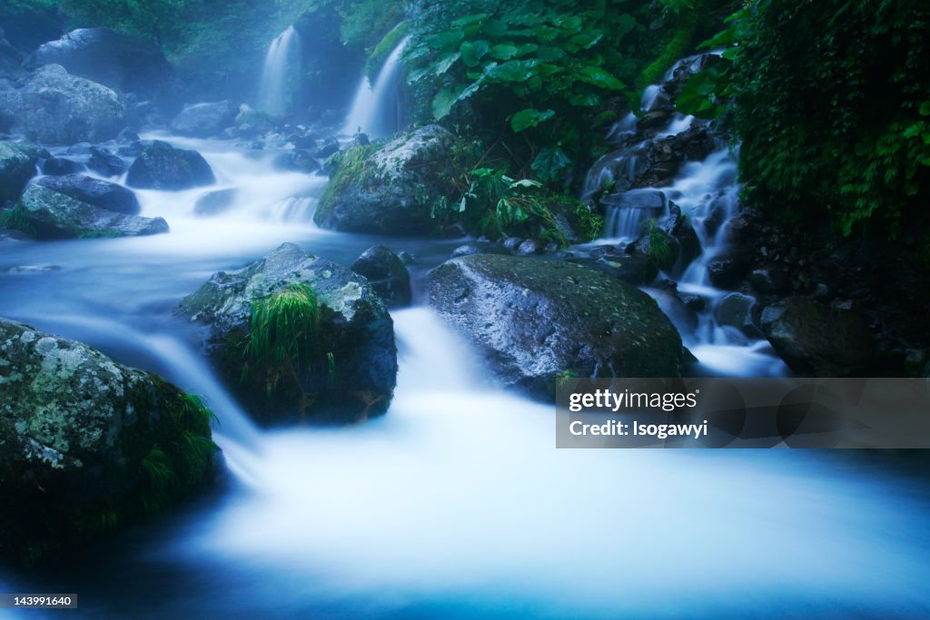 Misty creek