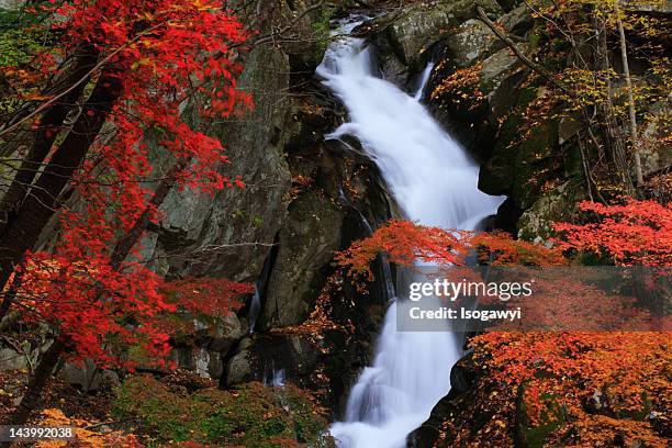 waterfalls - isogawyi stock pictures, royalty-free photos & images