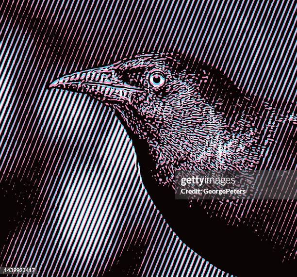common grackle head with glitch technique - common blackbird stock illustrations