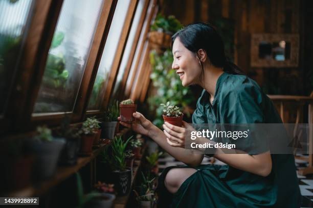 beautiful smiling young asian woman taking care of her houseplants in the balcony. enjoying her time at home. going green lifestyle - home sweet home stockfoto's en -beelden