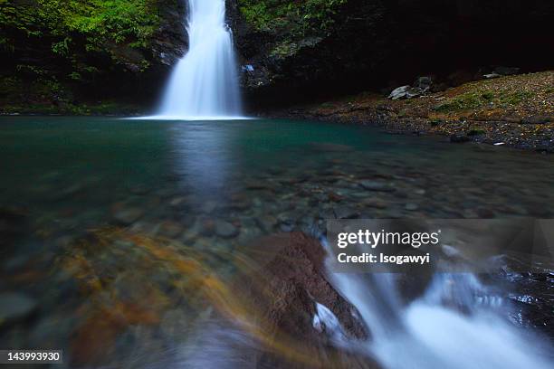 stream of early autumn - isogawyi stock pictures, royalty-free photos & images