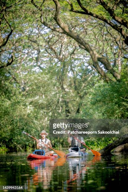explore the jungle - paddleboarding team stock pictures, royalty-free photos & images