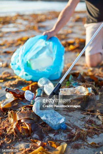 activist picking up bottle with litter picker amidst seaweed - plastic pollution beach stock pictures, royalty-free photos & images