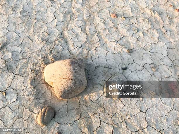 The texture of a dry cracked surface of a dried riverbed with stones in the middle. Copy space texture dry cracked surface dried riverbed