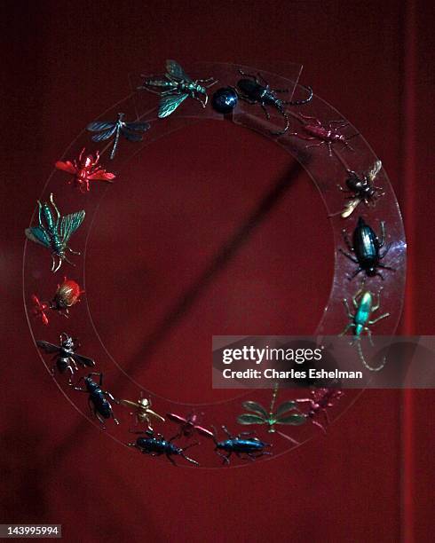 Prada Insects Schiaparelli Exhibition Photos and Premium High Res Pictures - Getty Images