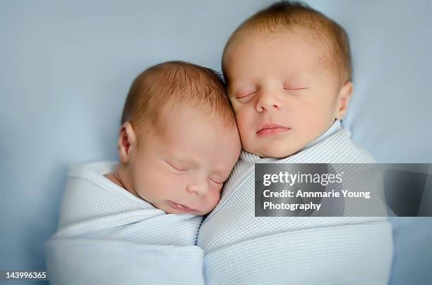 twin newborn boys - twin babies stockfoto's en -beelden