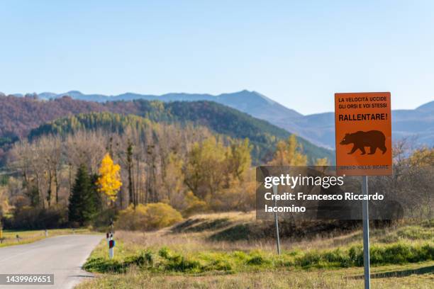 caution bear road sign - men beer stockfoto's en -beelden