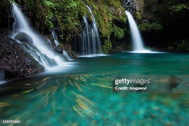 jinba falls - isogawyi stock pictures, royalty-free photos & images