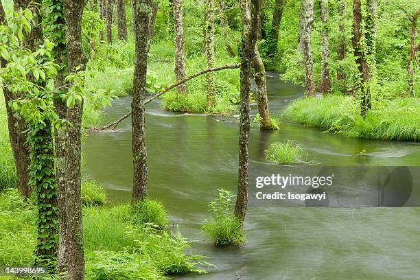 nagase river - isogawyi stock pictures, royalty-free photos & images