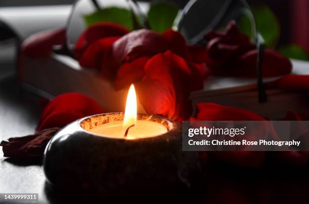 red rose petals by candlelight - petalos de rosas fotografías e imágenes de stock